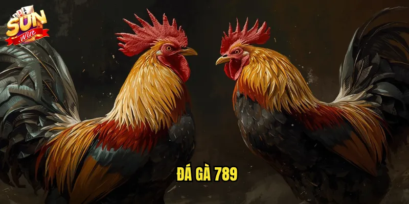 Đá gà 789