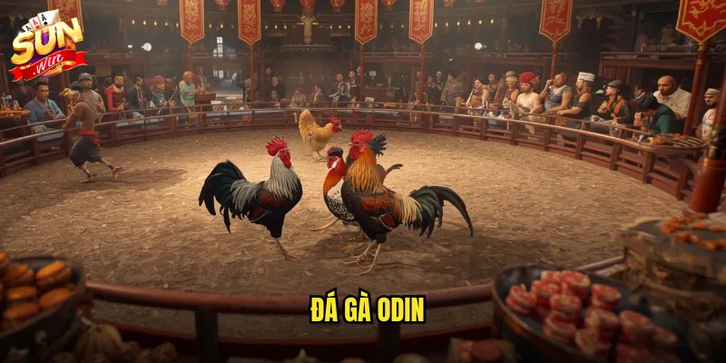 đá gà Odin